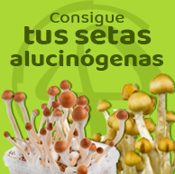 Setas alucinógenas