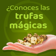 Comprar trufas mágicas