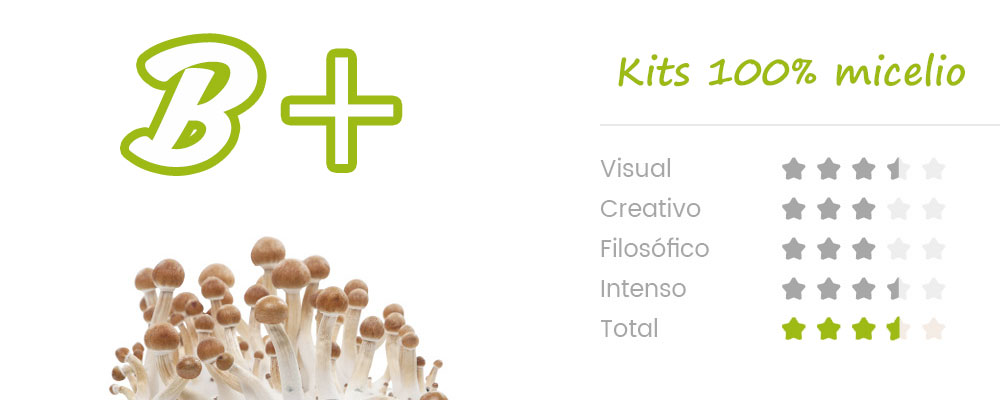 kit-setas-b+-potencia