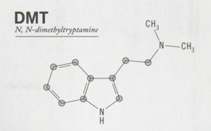 dmt