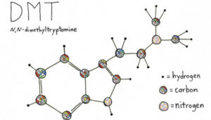 dimetiltriptamina