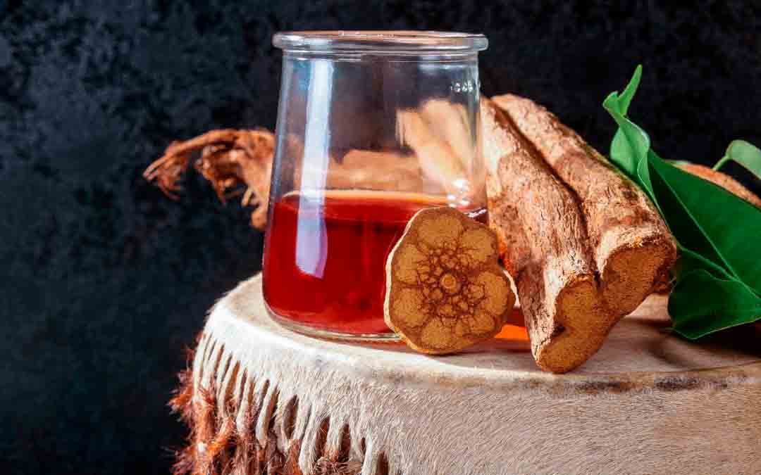 Qué es la ayahuasca