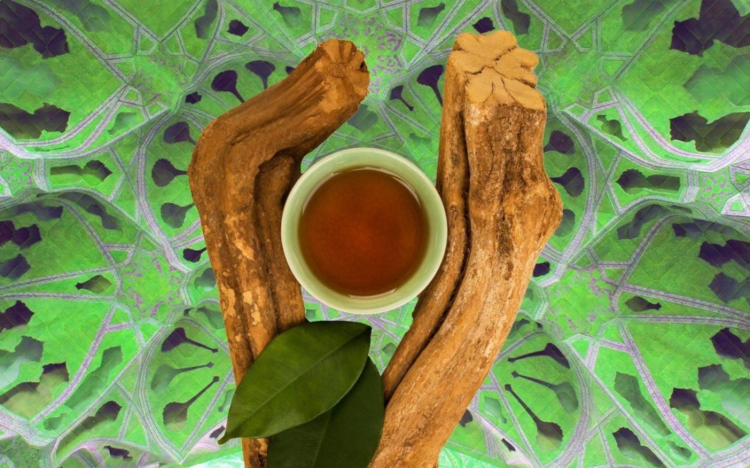 Beneficios de la ayahuasca