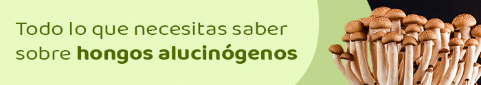 Hongos alucinógenos, una maravilla de la naturaleza