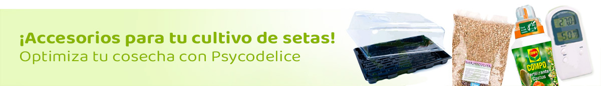 Accesorios
