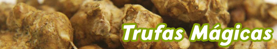 Trufas Mágicas