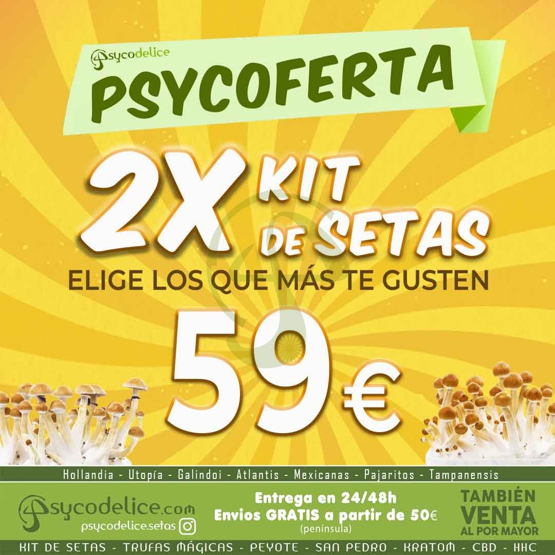 Oferta 2 Kits de Setas 100% Micelio 
