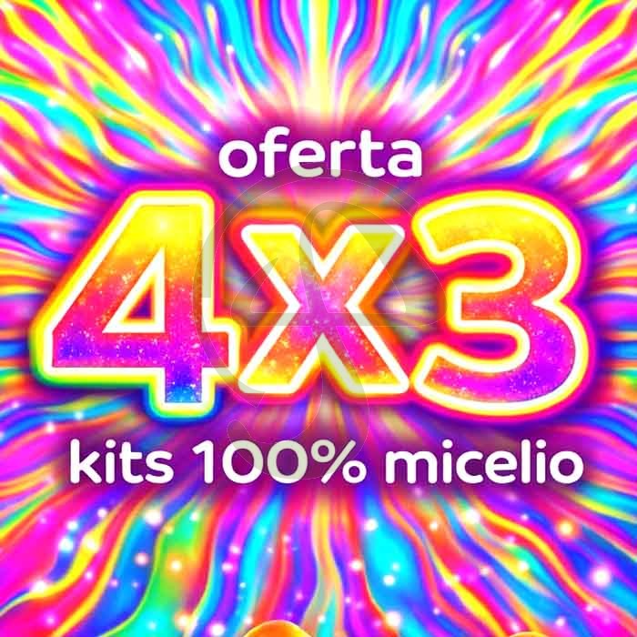 4 x 3 KitS de Setas