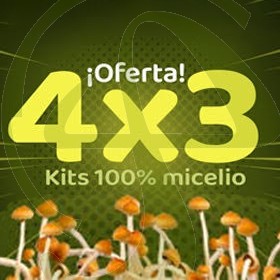 4x3 Kit de Setas alucinogenas ofertas 1 gratis