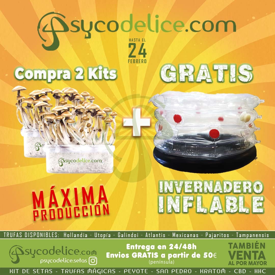 “Invernadero inflable para cultivo de setas – espacio para 2 kits”