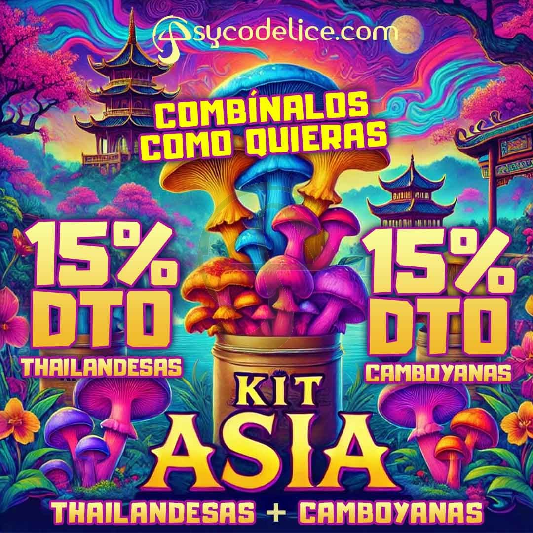 Kit Mix Asia - 15% DTO