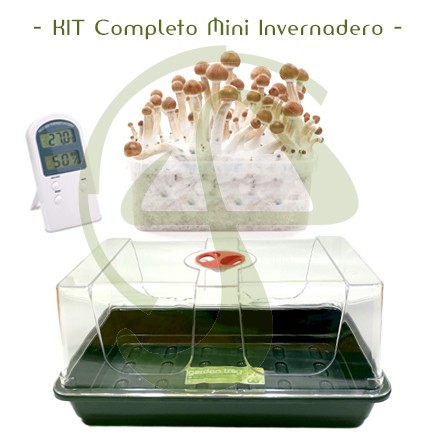 Kit Completo Mini Invernadero para cultivo de setas