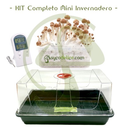 Kit Completo Mini Invernadero para cultivo de setas
