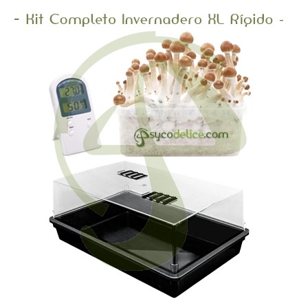 Kit Completo Invernadero XL Rígido 58x38x24 cm