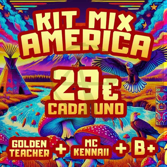 kit setas golden teacher mc kennaii b+