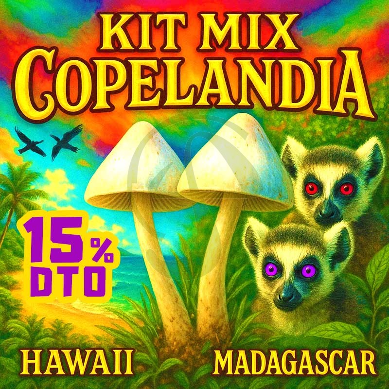 KIT MIX COPELANDIAS - 15% DTO