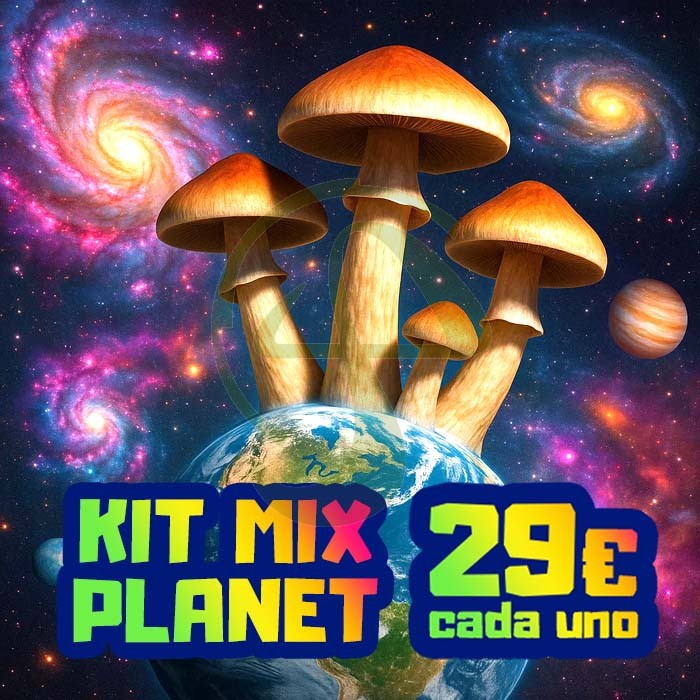 Kit Mix Planet – 5 Kits de Setas Fresh Mushrooms