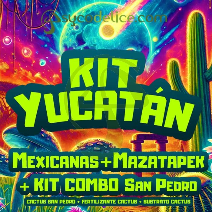 KIT MIX YUCATÁN