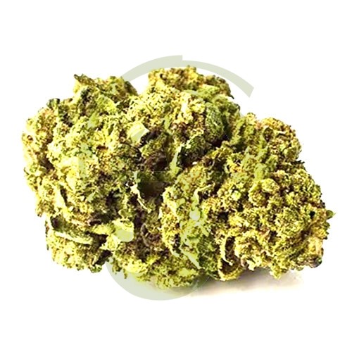 Arlequin CBD Outdoor