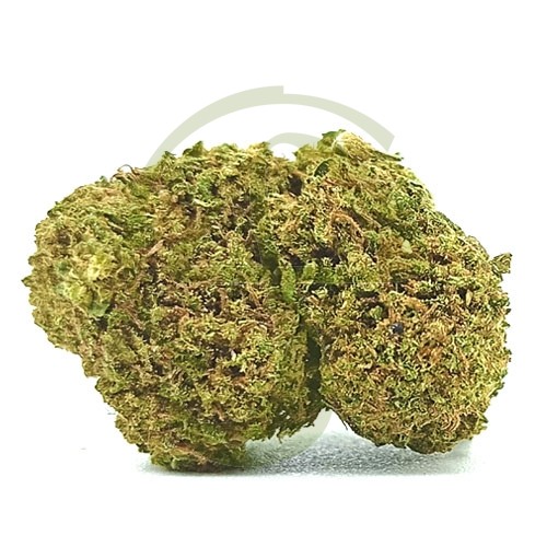 Camomila CBD Outdoor