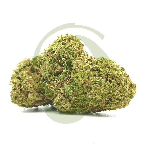 Melon CBD Outdoor
