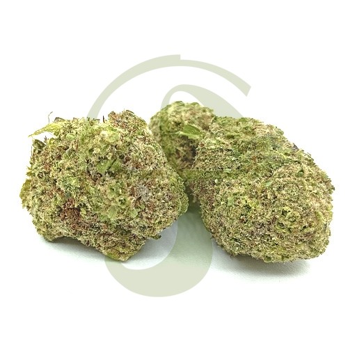 Orange Cake CBD Indoor 
