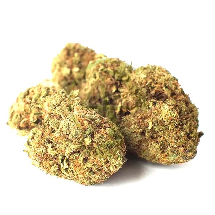 Strawberry CBD Outdoor