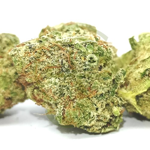 Strawberry Cake CBD Indoor 