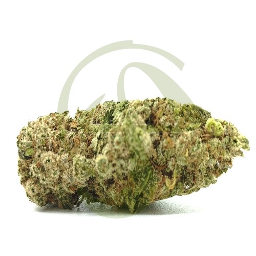Super Melon CBD Indoor 