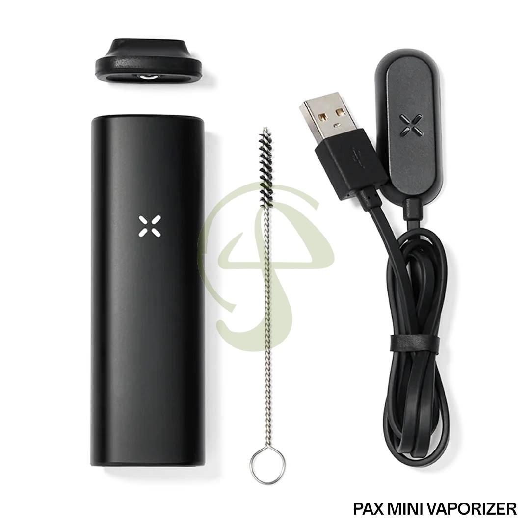 Vaporizador Pax Mini