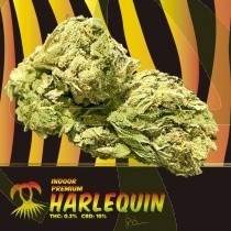 Harlequin CBD Indoor 