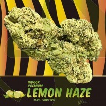 Lemon Haze CBD Indoor 