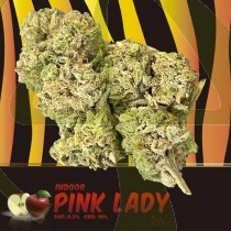 Pink Lady CBD Indoor 