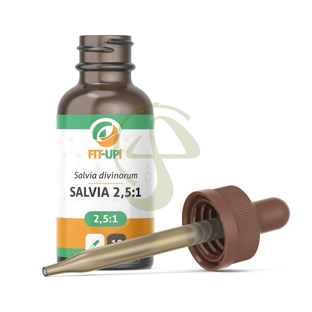 Salvia 2,5:1 Extracto – Salvia divinorum