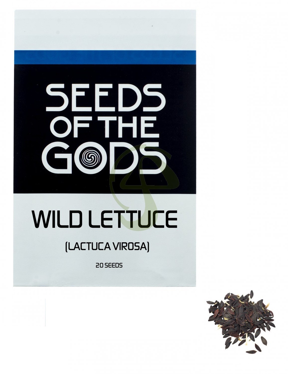 Semillas Wild Lettuce o lechuga silvestre 