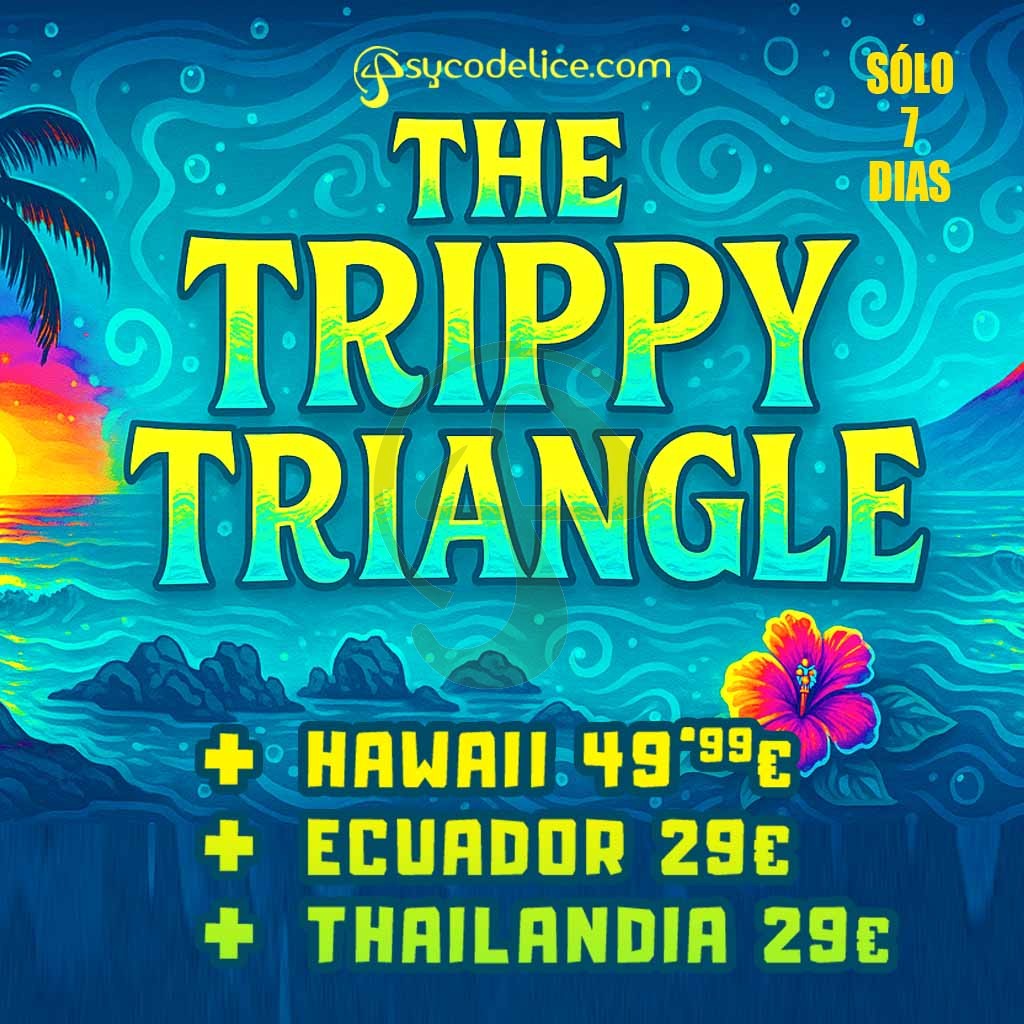 KIT The Trippy Triangle 