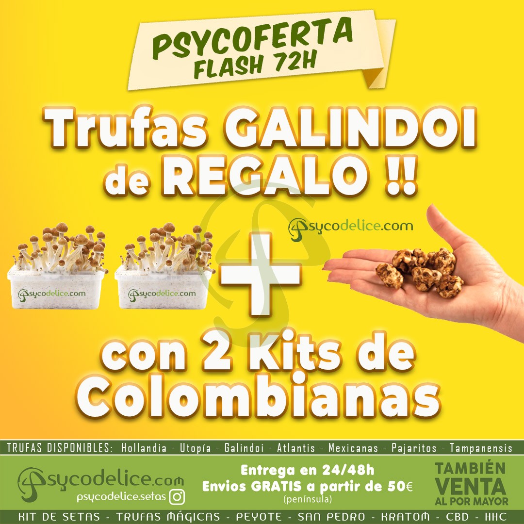 Trufas Galindoi de REGALO con 2 Kits de Colombianas