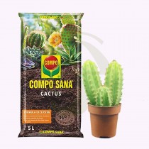 Cactus San Pedro + Sustrato Compo
