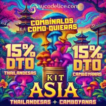Kit Mix Asia - 15% DTO