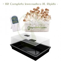 Kit Completo Invernadero XL Rígido 58x38x24 cm
