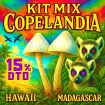 KIT MIX COPELANDIAS - 15% DTO