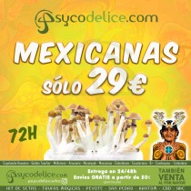 Kit Setas Mexicanas 100% Micelio