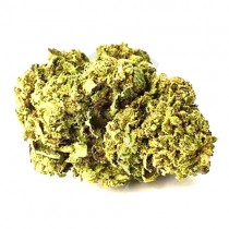 Arlequin CBD Outdoor