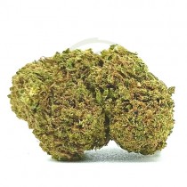 Camomila CBD Outdoor
