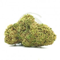 Melon CBD Outdoor