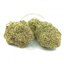 Orange Cake CBD Indoor 