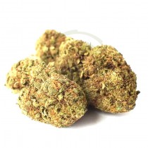 Strawberry CBD Outdoor