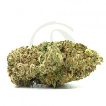 Super Melon CBD Indoor 