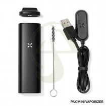 Vaporizador Pax Mini