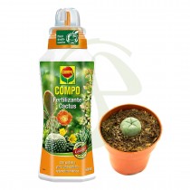 Cactus Peyote + Fertilizante Compo